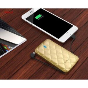 Iwalk Duo 3000 Mah Ultra Slim Battery Pack Built In Lightning & Micro Usb Cable - Gold
