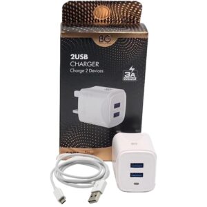 BG 2 USB Charger Charge 2 Devices With Micro USB Cable 8225