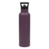 Fifty Fifty Vacuum Insulated Bottle 620ML - Plum