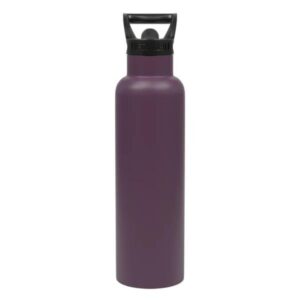 Fifty Fifty Vacuum Insulated Bottle 620ML - Plum