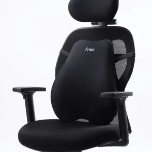 Frido Cloud Backrest Cushion - Black