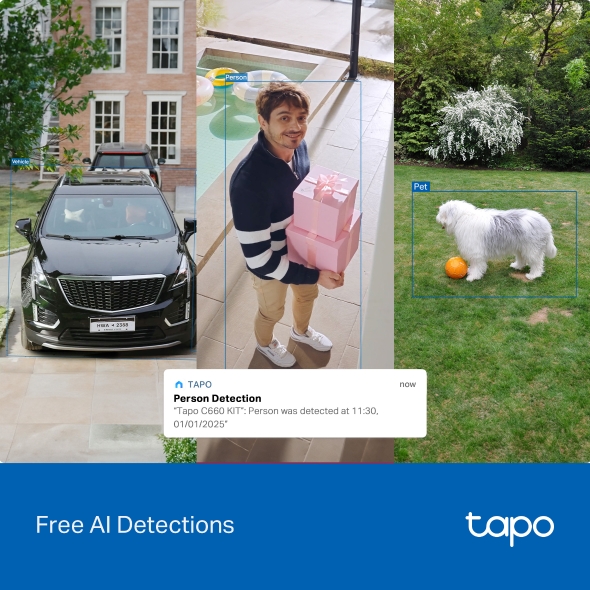 TP-Link Solar-Powered Pan/Tilt Security Camera Kit - Image 7